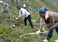 植樹した木の周りの雑草を刈る「下草刈り」も、社員が参加し実施しています。