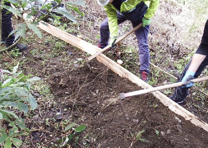 JTの森での森林保全活動