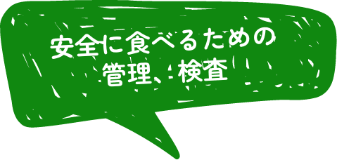 安全に食べるための管理、検査