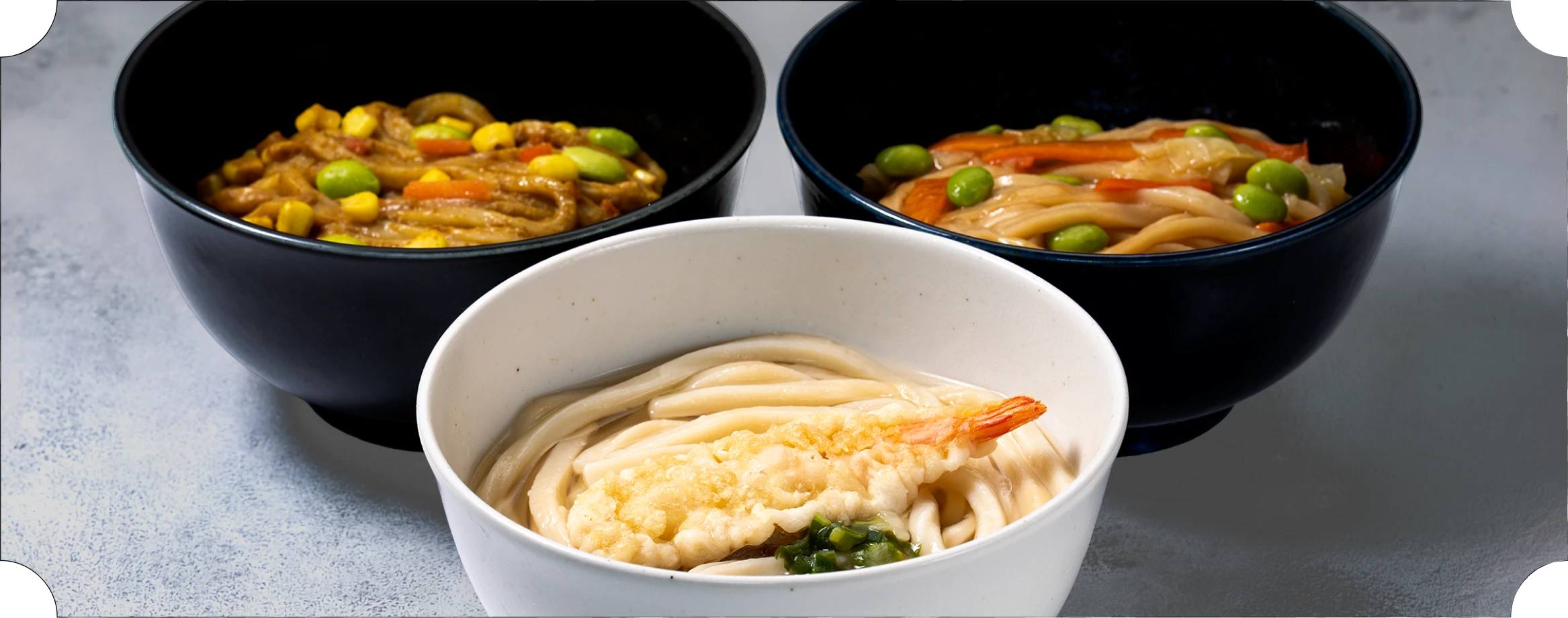 TableMark frozen udon product lineup