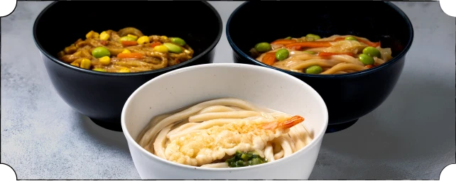 TableMark frozen udon product lineup