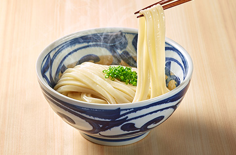 Example of Sanuki Udon
