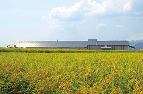 Uonuma Mizunosato Factory