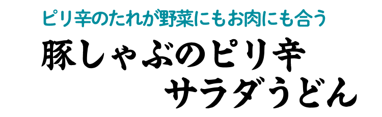 豚しゃぶのピリ辛サラダうどん