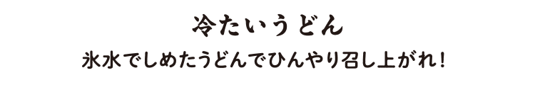 冷うどん 氷水でしめたうどんでひんやり召し上がれ