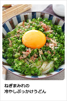 ねぎまみれの冷やしぶっかけうどん
