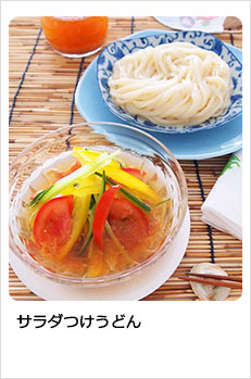 サラダつけうどん