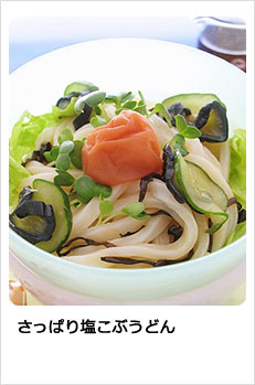 さっぱり塩こぶうどん