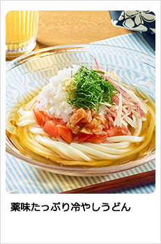 薬味たっぷり冷やしうどん