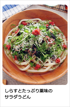 しらすとたっぷり薬味のサラダうどん