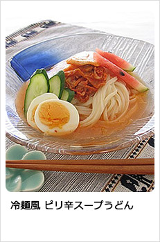 冷麺風 ピリ辛スープうどん