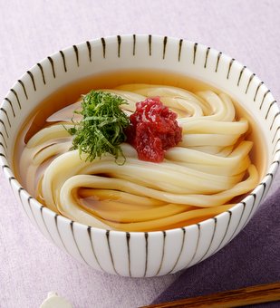 梅しそだしうどん