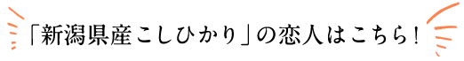 新潟県産こしひかりの恋人はこちら！