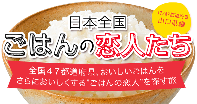 日本全国 ごはんの恋人 山口県編 うどん お好み焼 たこ焼 パックご飯 テーブルマーク