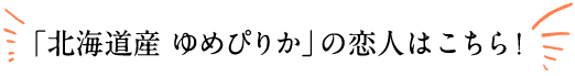 北海道産ゆめぴりかの恋人はこちら！