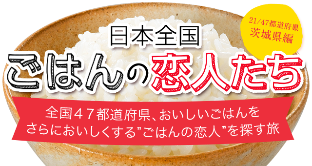 日本全国 ごはんの恋人 茨城県編 うどん お好み焼 たこ焼 パックご飯 テーブルマーク