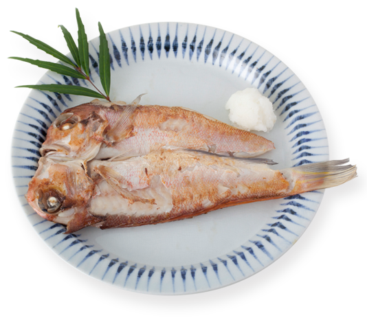 若狭ぐじ(甘鯛)一塩干し