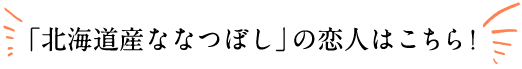 新潟県産こしひかりの恋人はこちら！