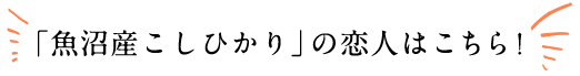 魚沼産こしひかりの恋人はこちら！