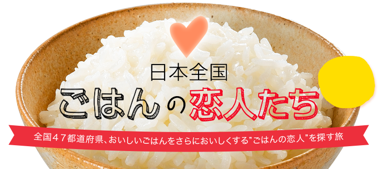 日本全国 ごはんの恋人 茨城県編 うどん お好み焼 たこ焼 パックご飯 テーブルマーク