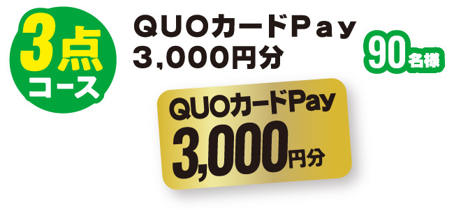 3点コース：QUOカードPay 3,000円分　90名様