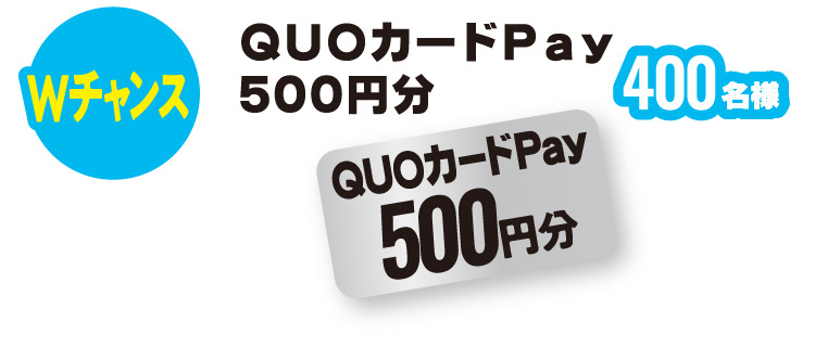 Wチャンス：QUOカードPay 500円分　400名様