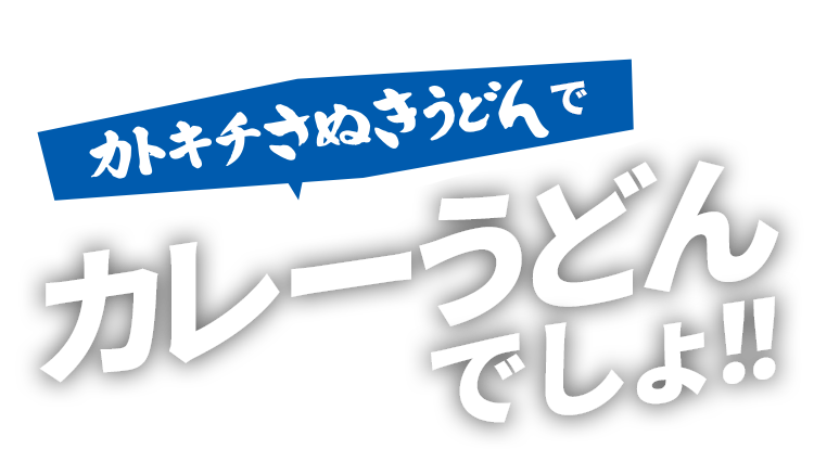 カトキチさぬきうどんでカレーうどんでしょ！