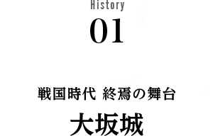 History01 戦国時代 終焉の舞台 大坂原城