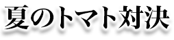 夏のトマト対決