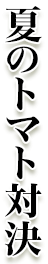 夏のトマト対決