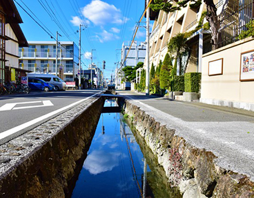 龍馬が生まれた城下町 龍馬が生まれた城下町