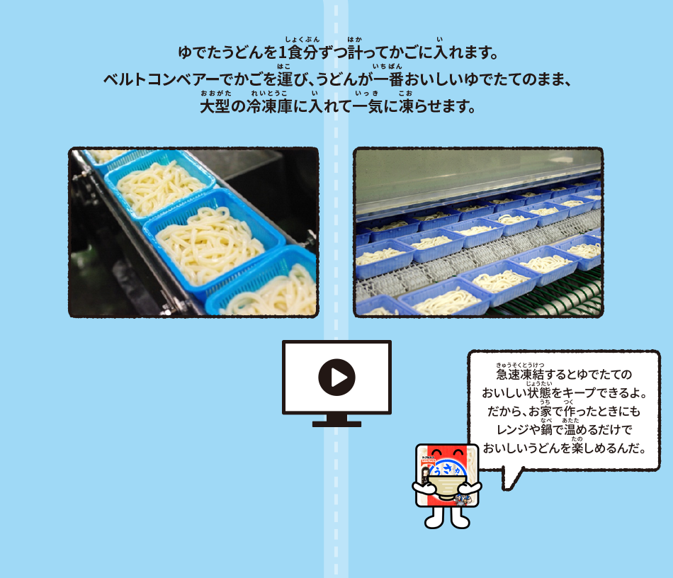 ゆでたうどんを1食分ずつ計ってかごに入れます。ベルトコンベアーでかごを運び、うどんが一番おいしいゆでたてのまま、大型の冷凍庫に入れて一気に凍らせます。