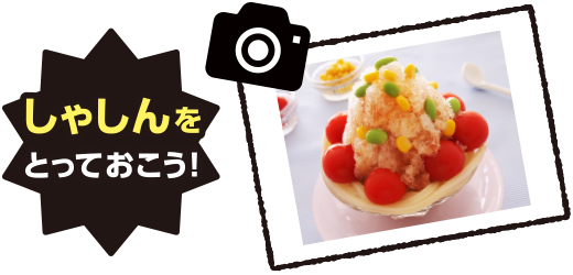 しゃしんをとっておこう!