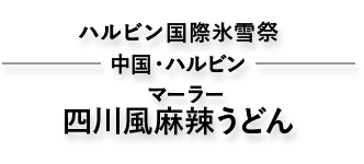 四川風麻辣うどん