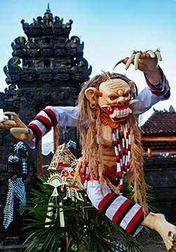 ニュピ　インドネシア・バリ