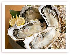 盛岡さんさ踊り 岩手県 盛岡市