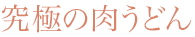 究極の肉うどん