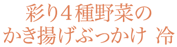 彩り4種野菜のかき揚げぶっかけ(冷)