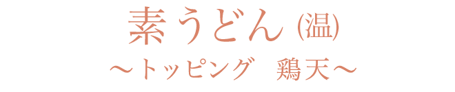 素うどん(温)