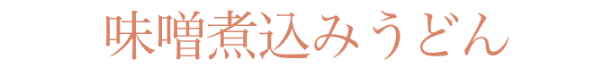 味噌煮込みうどん
