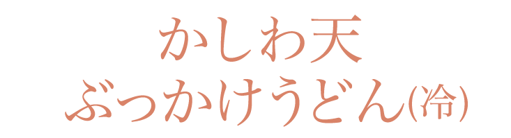 かしわ天ぶっかけうどん(冷)