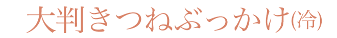 大判きつねぶっかけ(冷)