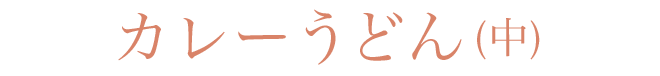 カレーうどん(中)