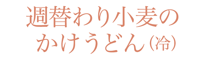 週替わり小麦のかけうどん（冷）