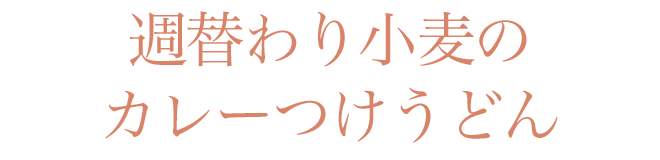 週替わり小麦のカレーつけうどん
