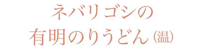 ネバリゴシの有明のりうどん（温）