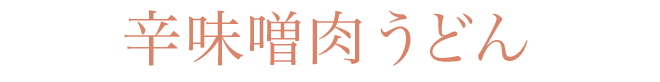 辛味噌肉うどん