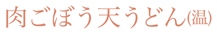 肉ごぼう天うどん(温)