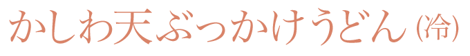 かしわ天ぶっかけうどん(冷)