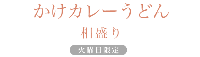 かけカレーうどん　相盛り